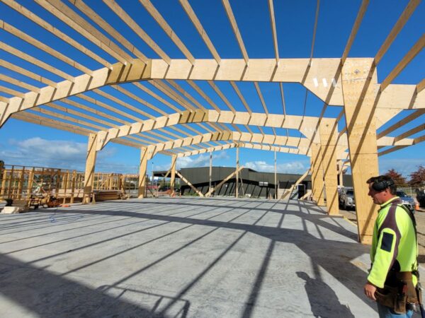 Animal Health Direct warehouse under construction with TimberSpan beams